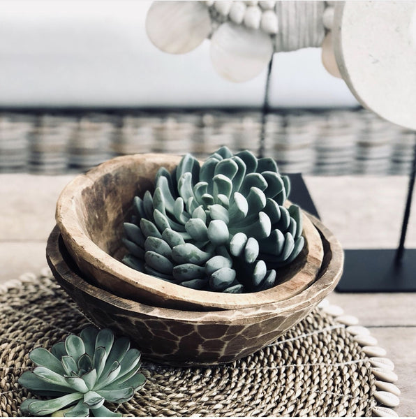 SET DE TABLE ROND COQUILLAGE BAZAR BIZAR